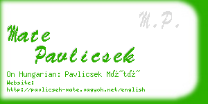 mate pavlicsek business card